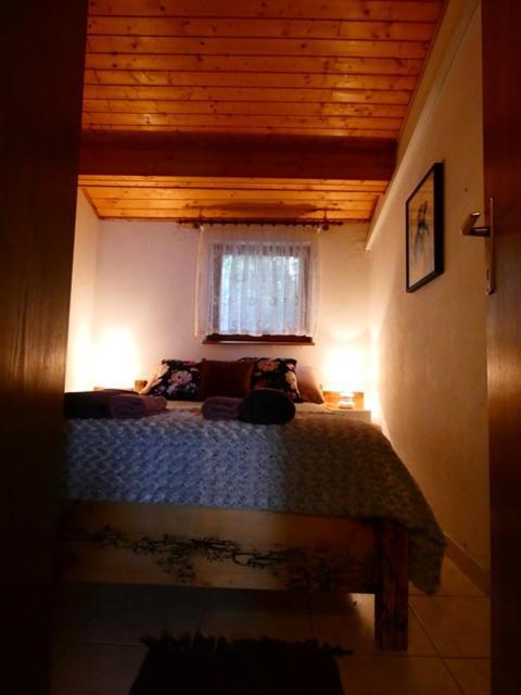 Apartmani Marija Ribarica Buitenkant foto