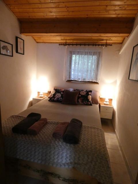 Apartmani Marija Ribarica Buitenkant foto