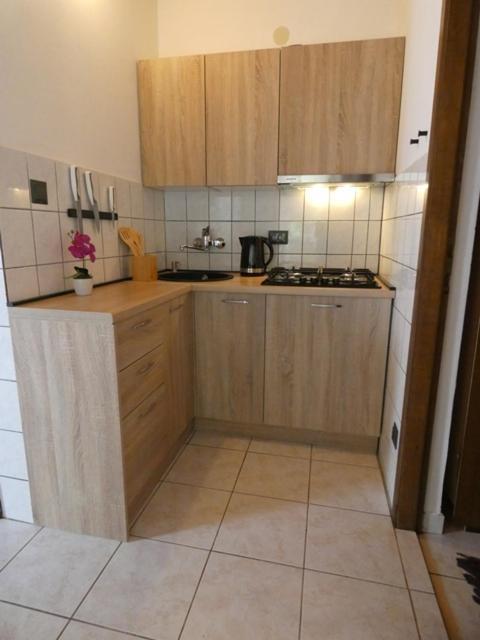Apartmani Marija Ribarica Buitenkant foto