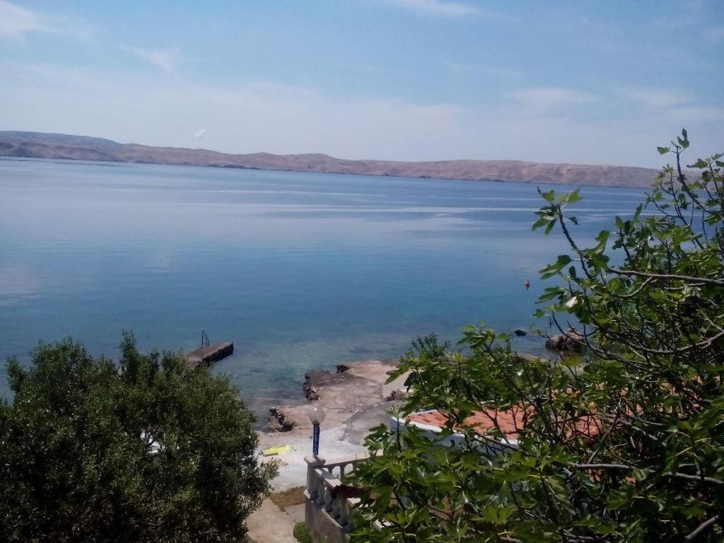 Apartmani Marija Ribarica Buitenkant foto